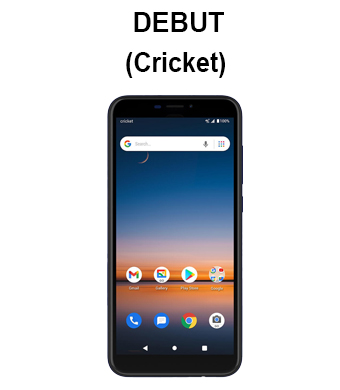 Debut (Cricket)
